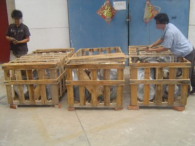 新疆中石油攪拌機(jī)發(fā)貨